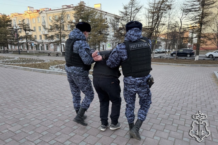 Колымчанина осудили за применение насилия и оскорбление сотрудника Росгвардии