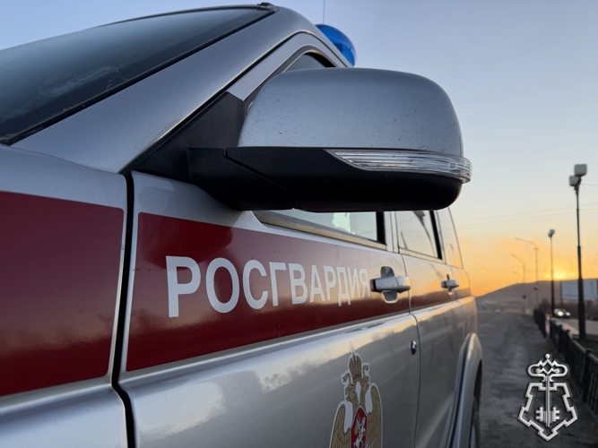 Происшествие в магаданском поселке потребовало вмешательства Росгвардии