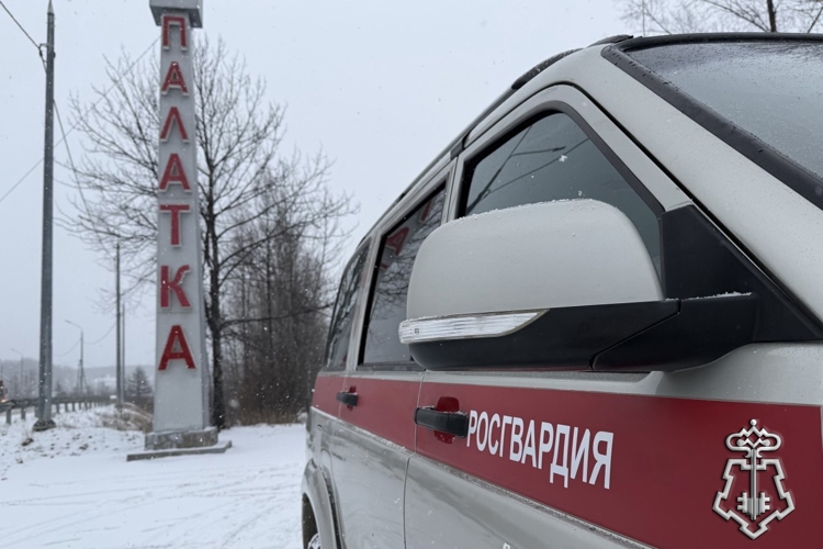  Совместными усилиями полиции и Росгвардии задержан агрессивный житель поселка Палатка