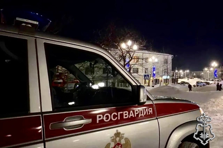 Инцидент в магаданском кафе потребовал вмешательства Росгвардии